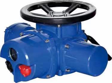 電動執(zhí)行器